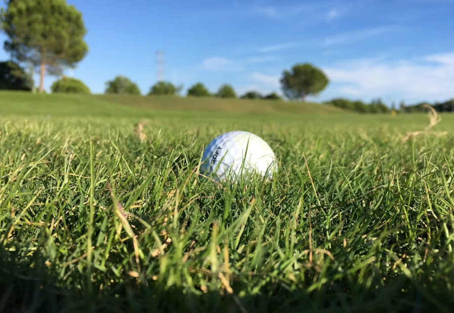 Best Golf Travel Bags